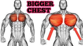 Best Exercises For Bigger Chest  Build Bigger Chest [upl. by Whitney433]