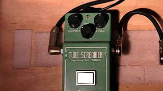 Ibanez TS808 Tube Screamer Demo [upl. by Shelley]