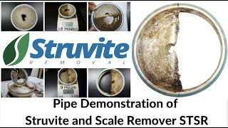 Struvite Remover Chemical and Scale Remover STSR use for Struvite Removal from Pipe Demo [upl. by Faunia]