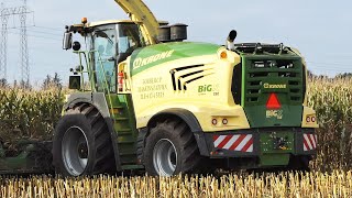 Mais Silage 2021 w Krone Big X 780 in the field working hard chopping corn  Maisernte Häckseln 21 [upl. by Anorahs386]