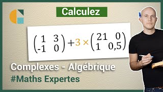 Comment multiplier une matrice par un réel  Exercices corrigés  Maths expertes Terminale [upl. by Snook]