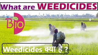 What are weedicides Weedicides क्या है by Simply The Best BIO [upl. by Jeri]