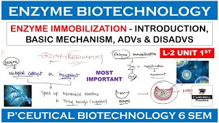 Enzyme Biotechnology  Enzyme Immobilization  L2 U1  Pharmaceutical Biotechnology 6th sem [upl. by Anthony]