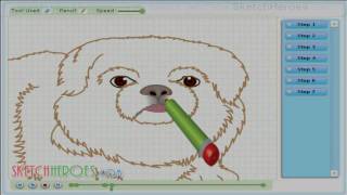 How to draw Pekingese DOG  drawing tutorial video [upl. by Orbadiah125]