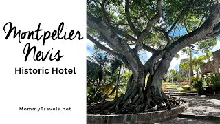 Montpelier Nevis Hotel [upl. by Salvatore]