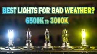 Full Spectrum Light Bulb Review Experience Natural Sunlight with 6000K LED Bulbs  3 Pack [upl. by Ezar942]