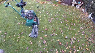 Using the scarifyinglawn rake cassette to collect leaves on the lawn [upl. by Belamy728]