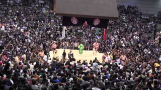 【日馬2敗】日馬富士 vs 栃ノ心 2015大相撲三月場所8日目 Harumafuji vs Tochinoshin SUMO [upl. by Llemmart]