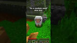 Bro its a random seed The seed 💀 minecraft shorts minecraft [upl. by Clancy]