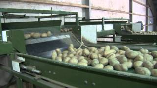 Schouten Agri Sorting Solutions  Sorteerlijn TexelSun [upl. by Longan]