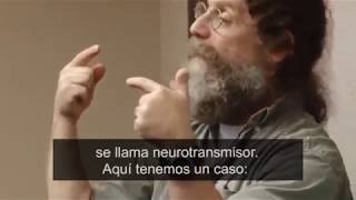 Robert Sapolsky sobre la depresión subs español [upl. by Swiercz]