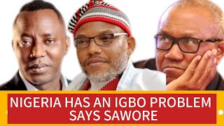 Why the igbos are heavily MARGINALISED [upl. by Aurilia68]