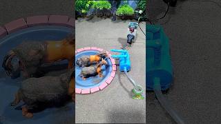 Mini motor water pump science project mini tractor video horse bathed video  296 [upl. by Flora]