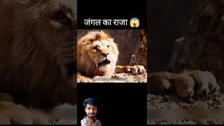 Simba movie explaination movie movieexplain video shorts [upl. by Hermann14]