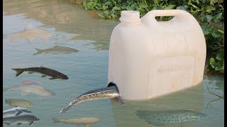 How to Make Easy Fish Trap Using Plastic Bottle [upl. by Calvina851]