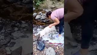 Bañando mi cerdo 🐖 en El Salvador 🇸🇻 [upl. by Thorstein31]