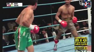 Naseem Hamed vs Armando Castro Highlights [upl. by Norval]