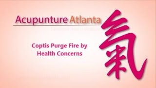 TCM Spotlight Health Concerns Coptis Purge Fire [upl. by Irakuy718]