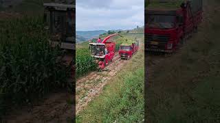 How to cut grass from land by automatic machine [upl. by Ocana]