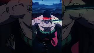 Zoro edit animeedit anime zoro zoroedit edit [upl. by Mcguire395]