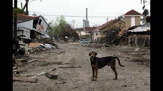 REMEMBERING HURRICANE KATRINA 15 YEARS AGO AUGUST 29 2005 WHEN EVERYTHING CHANGED IN LOUISIANA [upl. by Inaoj594]