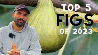 Top 5 Fig Tree Varieties of 2023 Our BEST Figs of the Year for Zone 6 [upl. by Everrs]