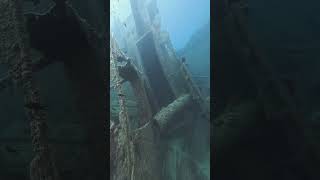 Shipwreck diving just off the coast of Elba island Italy [upl. by Soisanahta]