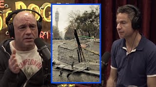 Societal Collapse  Joe Rogan Experience w Michael Shellenberger [upl. by Kcirred]