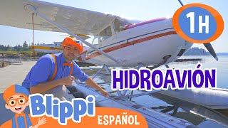 Blippi explora un hidroavión ‍✈️💧 Blippi Español  Videos educativos para niños  Aprende y Juega [upl. by Llechtim247]