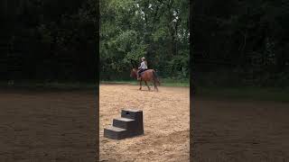 He was being a turd and jumped a cavaletti because he’s Remi [upl. by Lanette]