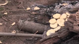 Campfire Cooking with Kids [upl. by Scales]