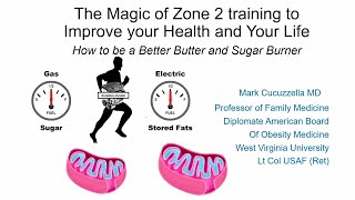 Dr Mark Cucuzzella presentation The Magic of Zone 2 training to Improve your Health and Your Life [upl. by Idou]