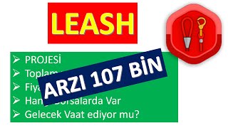 LEASH TOKEN NEDİR LEASH TOKEN ARZI NE KADAR DOGE KİLLER [upl. by Reinar]