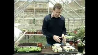 Geoff Hamilton amp Ann Swithinbanks gardening tips1980s [upl. by Townshend]