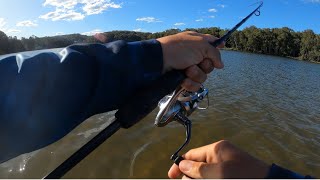 Flathead fishing Avoca Lake [upl. by Artimid]