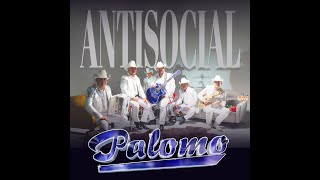 Antisocial Palomo [upl. by Anitreb]