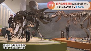 まさに“骨の折れる”作業 年末恒例の恐竜の巨大標本大掃除 愛知・豊橋市自然史博物館 [upl. by Chavaree]