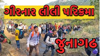 Junagadh Girnar Lili Parikrama 2024 જુનાગઢ ગીરનાર લીલી પરિક્રમા [upl. by Tatia]