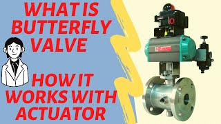 How Butterfly Valve works Types of Valve  Explain with Actuator and Limit Switch Electrical and Au [upl. by Kramer]