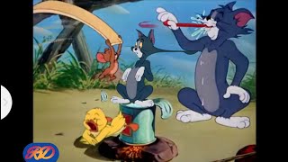 Tom amp Jerry  Best Of Jerry end Little Quacker  Best Buddies 🐺  Classic Cartoon [upl. by Watters]