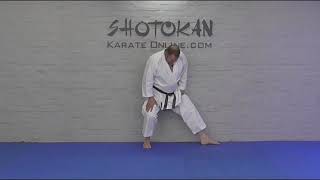 Shotokan Stances Kokutsu Dachi Back Stance [upl. by Enaej861]