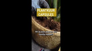 Plantkuur capsules voor een extra boost [upl. by Ravilob]