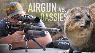 INSANE 200yd Scopecam clips Dassie Hunting with Gerhard Slabbert [upl. by Asserak94]