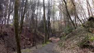 Essen KettwigSchloss LandsbergWald1432014 [upl. by Kinzer]