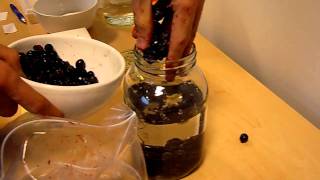 How to make Sloe Gin  Sloe Gin Recipe [upl. by Ahilam]