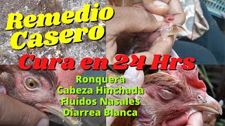 Remedio Casero para CURAR Moquillo Diarrea Blanca Ronquera Ojo Hinchado en Nuestras Gallinas [upl. by Kazue]