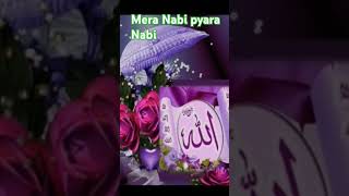 Mera Nabi pyara Nabi hai [upl. by Enerehs]