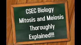 CSEC Biology and HSB Mitosis and Meiosis Thoroughly Explained [upl. by Gupta513]