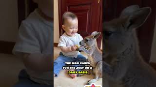 Rescued Orphan Kangaroo Finds Love and a New Home 🦘❤️ AnimalRescue KindnessMatters shorts [upl. by Hgiel417]