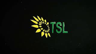 Solar Power Plant TSL [upl. by Ayal]